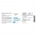 KOLLAGEN HYDROLYSAT 500 mg Kapseln