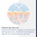 VISCONTOUR Anti Aging Tagescreme mit Tiefen-Hyaluron