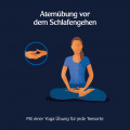YOGI TEA Abend Tee Bio Filterbeutel