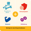 VITAMIN D-LOGES 5.600 I.E.