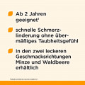 DORITHRICIN Halstabletten Waldbeere