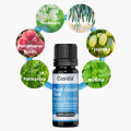 MUND-GESUND Fluid Repair &amp; Protect