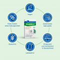 MAGNESIUM DIASPORAL 400 Extra Kapseln