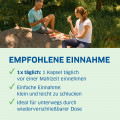MAGNESIUM DIASPORAL 400 Extra Kapseln