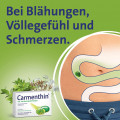 CARMENTHIN bei Verdauungsstörungen msr.Weichkaps.