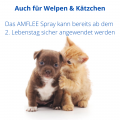 AMFLEE 2,5 mg/ml Spray Lösung f.Hunde/Katzen