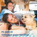 AMFLEE 268 mg Spot-on Lsg.f.große Hunde 20-40kg