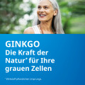 GINKGO STADA 120 mg Filmtabletten