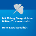 GINKGO STADA 120 mg Filmtabletten