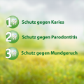 SALVIAGALEN F Madaus Zahncreme