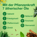 SALVIATHYMOL N Madaus Tropfen