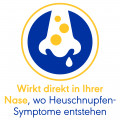 OTRI-ALLERGIE Nasenspray Fluticason