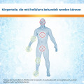 ENDWARTS Freeze