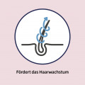 MINOXICUTAN Männer 50 mg/ml Spray 3x60 ml