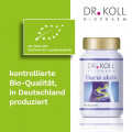 DARM AKTIV Dr.Koll Kapseln