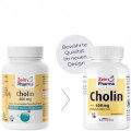 CHOLIN 600 mg rein aus Bitartrat veg.Kapseln