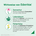 ESBERITOX