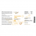 CURCUMIN 500 Kapseln