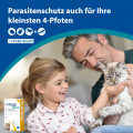 AMFLEE combo 50/60mg Lsg.z.Auftropfen f.Katzen