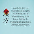 YamatoGast Filmtabletten bei leichten Magen-Darm-Beschwerden