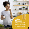 VITAMIN B KOMPLEX Kapseln