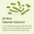 NUPURE probaflor - 2-1 Rezeptur mit 11 Bakterienkulturen + Inulin