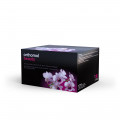 ORTHOMOL beauty Trinkampullen Nachfüllpackung