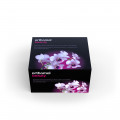 ORTHOMOL beauty Trinkampullen Nachfüllpackung