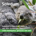 SOLEDUM addicur 200 mg magensaftres.Weichkapseln