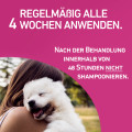 FRONTLINE TRI-ACT gegen Zecken, Flöhe und fliegende Insekten für Hunde XS