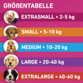 FRONTLINE TRI-ACT gegen Zecken, Flöhe und fliegende Insekten für Hunde XS