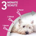 FRONTLINE TRI-ACT gegen Zecken, Flöhe und fliegende Insekten für Hunde S