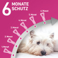 FRONTLINE TRI-ACT gegen Zecken, Flöhe und fliegende Insekten für Hunde M