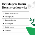 IBEROGAST Classic Flüssigkeit zum Einnehmen bei funktionellen und motilitätsbedingten Magen-Darm-Beschwerden