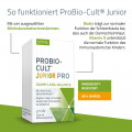 PROBIO-Cult Junior Pro Syxyl Beutel