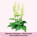 FEMILOGES magensaftresistente Tabletten