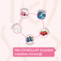 GYNELLA Cystilab Beutel