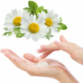 BODYGUARDPHARM Handcreme Kamille