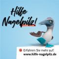 AMOROLFIN Dexcel gegen Nagelpilz 50 mg/ml wirkstoffhaltiger Nagellack