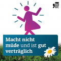 MOMETASON ADGC 50 μg/Sprühstoß Nasenspray 60