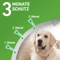 FRONTLINE COMBO gegen Zecken, Flöhe (Flöhe, Eier, Larven, Puppen) für Hunde S