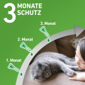FRONTLINE COMBO gegen Zecken, Flöhe (Flöhe, Eier, Larven, Puppen) für Katzen