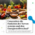 IberoBiotics® Zen - die natürliche Dreierkombination aus körpereigenen Bakterien, Melisse und Vitamin B2