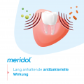 MERIDOL Rundumpflege Mundspülung