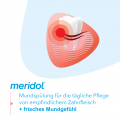 MERIDOL Rundumpflege Mundspülung