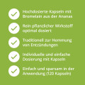 BROMELAIN 500 mg hochdosiert magensaftresist.Kaps.