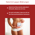 N1 Blähungen &amp; Völlegefühl Kapseln