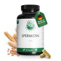 GREEN NATURALS Spermidin 1,6 mg vegan Kapseln