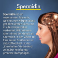 GREEN NATURALS Spermidin 1,6 mg vegan Kapseln