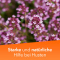 Tussamag® concent Hustensaft